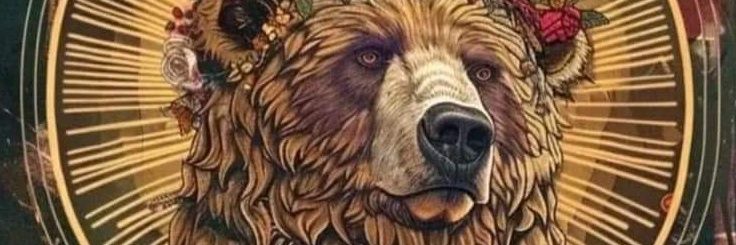 seanfeedback's profile banner image