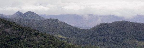 GiselGuzmnE Profile Banner