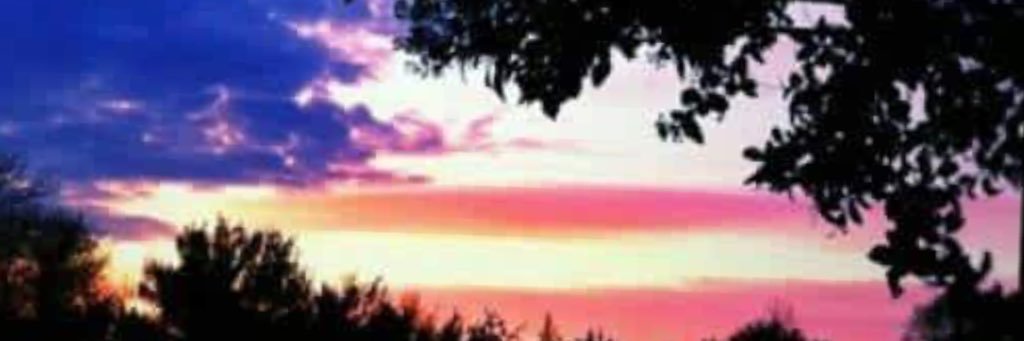 collinstef72's profile banner image