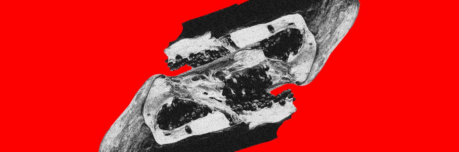 MolhoNegro's profile banner image