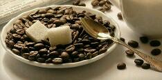 afrel_lia's profile banner image