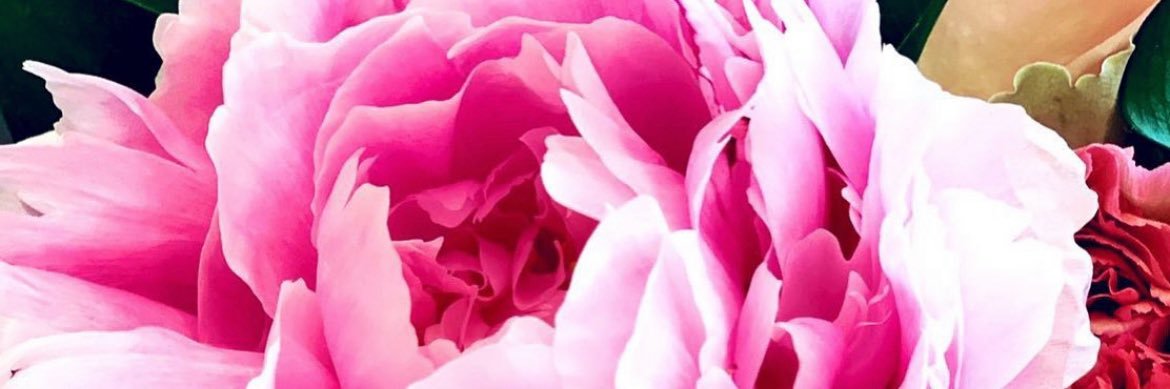LadyLuckWrites's profile banner image