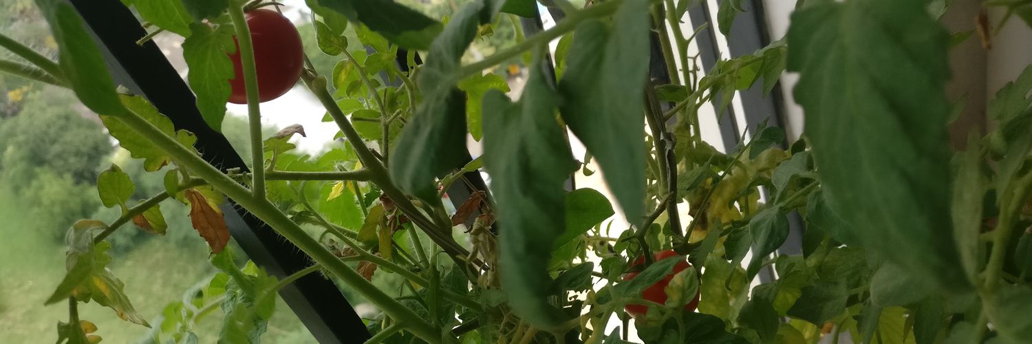 Sree Sankar P T banner