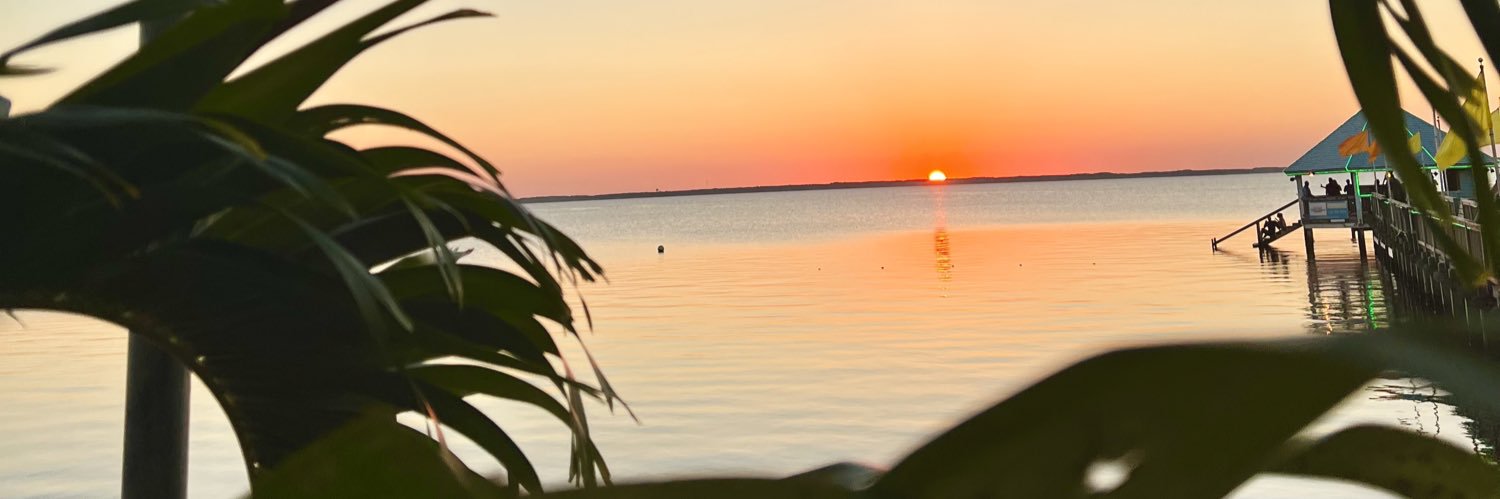 iitylerr's profile banner image