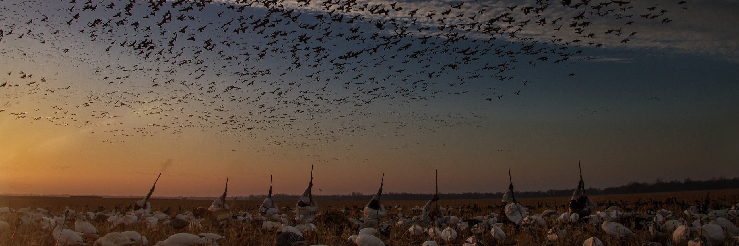 PTOutfitters's profile banner image