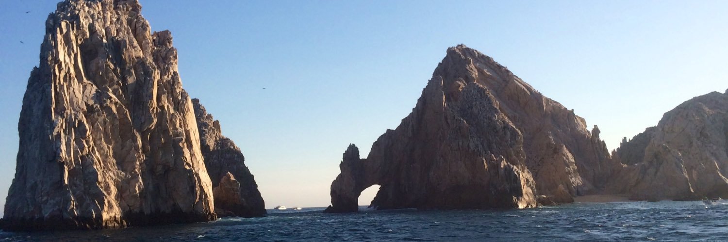 Ryan McDonald banner