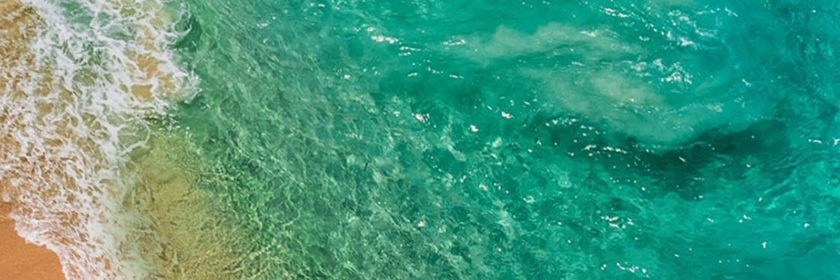 الذيب ترامب banner