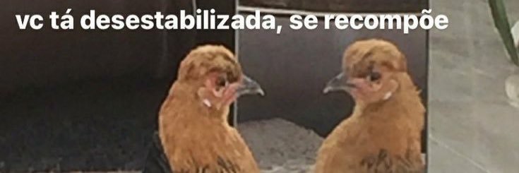 guilherbi's profile banner image
