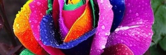 tigg67's profile banner image