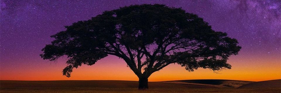 terrytabby's profile banner image