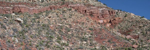 JWBonde Profile Banner