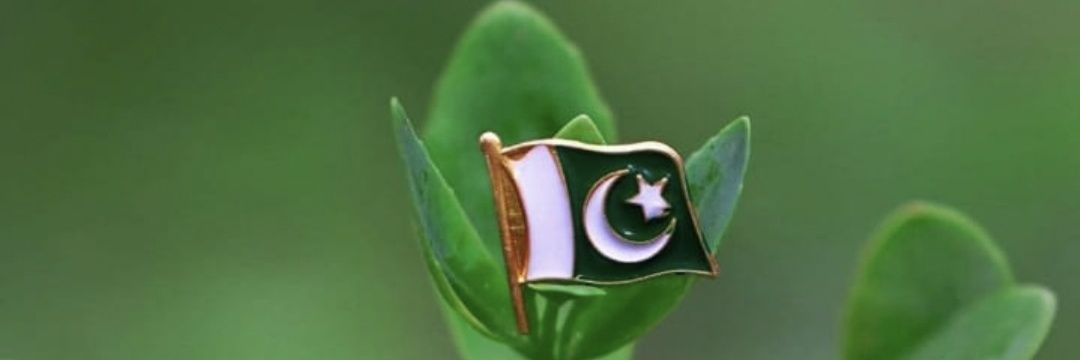 Malook Shah ✪ banner