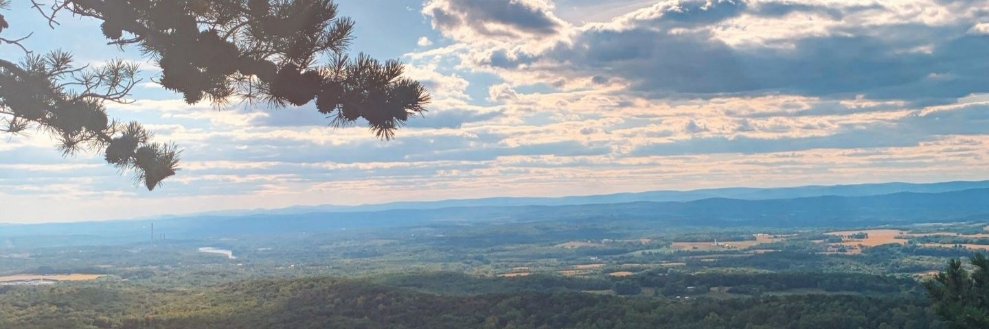 Shorty305's profile banner image