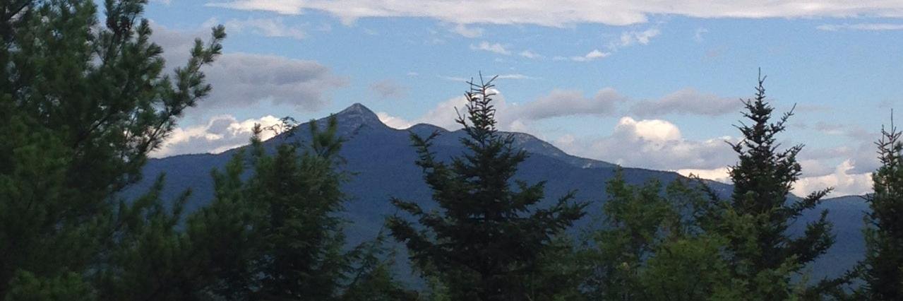 Debbie Martin, NBCT banner