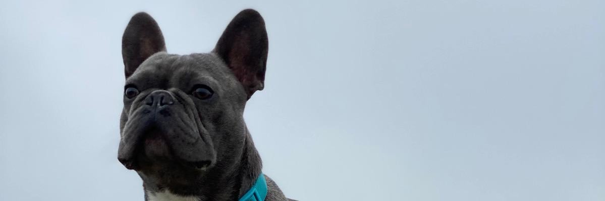 beanrussell's profile banner image