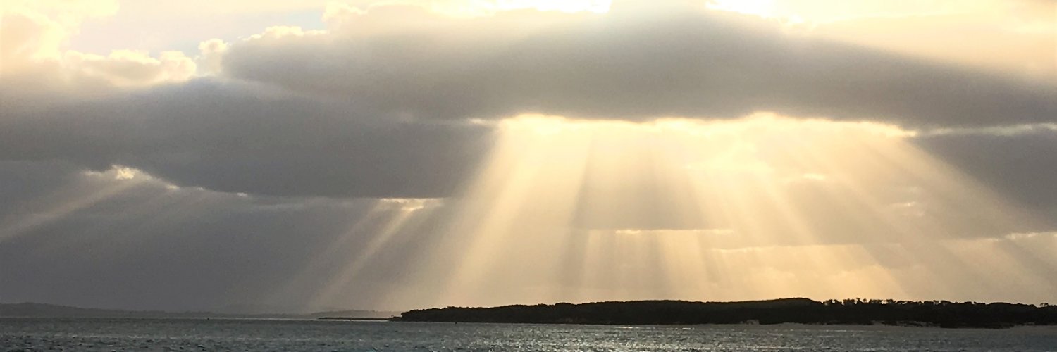 Bernadette McSherry banner