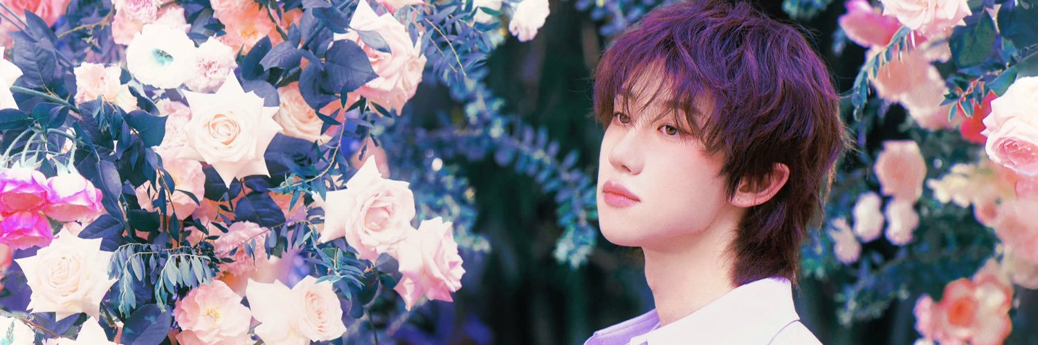 lasolmis's profile banner image