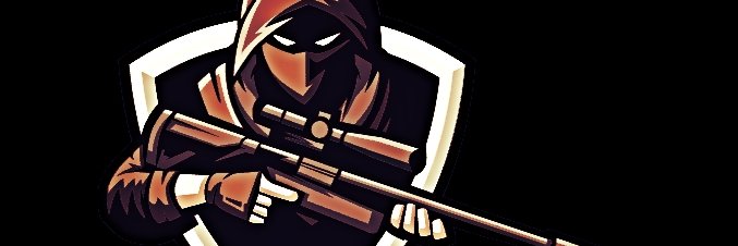 ninjakiwi6's profile banner image