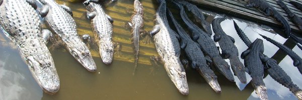 yoosee Profile Banner