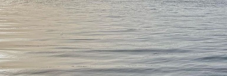 Saif 🇵🇸🇸🇩 banner