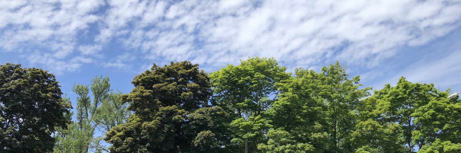 MauveCatLaur🇨🇦 banner