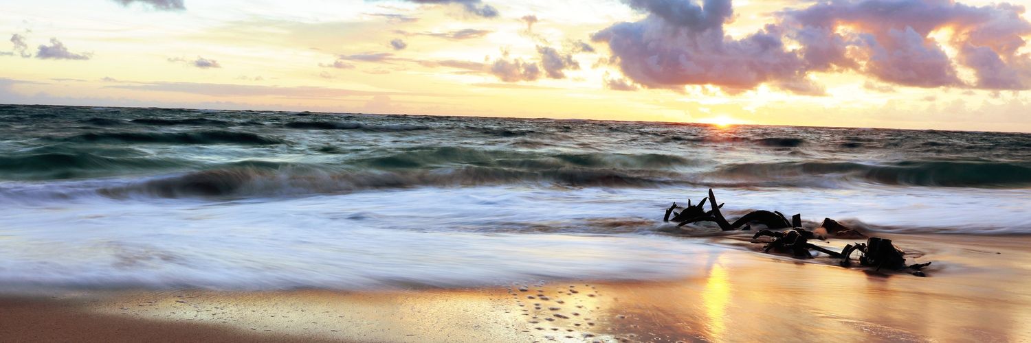BrianHaruno's profile banner image