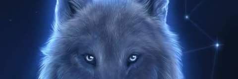 tiago_320's profile banner image