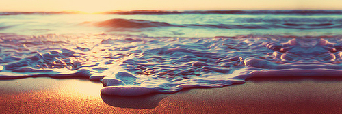 maryfultzious1's profile banner image