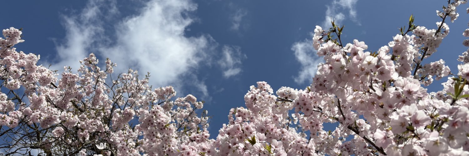 simanyanco's profile banner image
