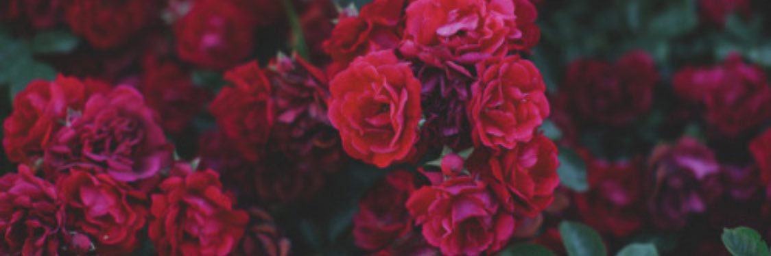 halaagn's profile banner image