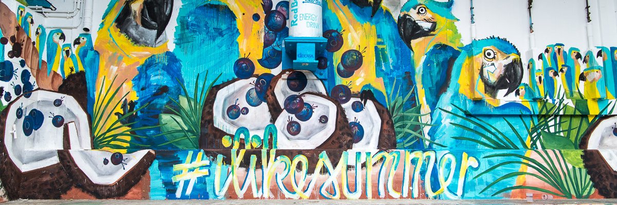 missclassycom's profile banner image