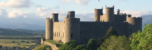 LauraPiddock Profile Banner