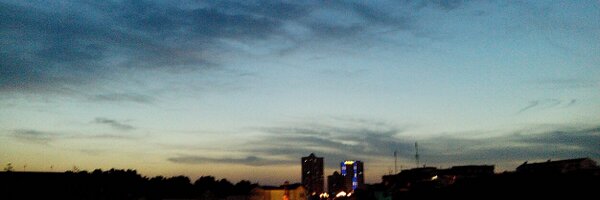 silex Profile Banner