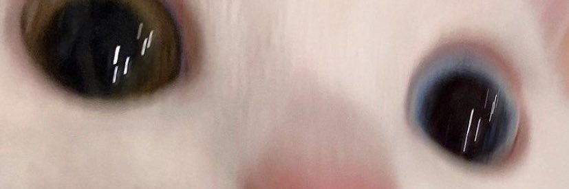 นอตอ banner