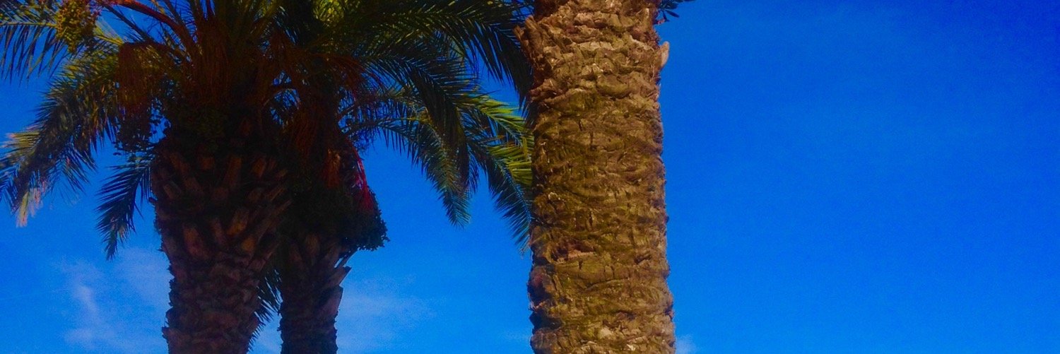NomiXx's profile banner image