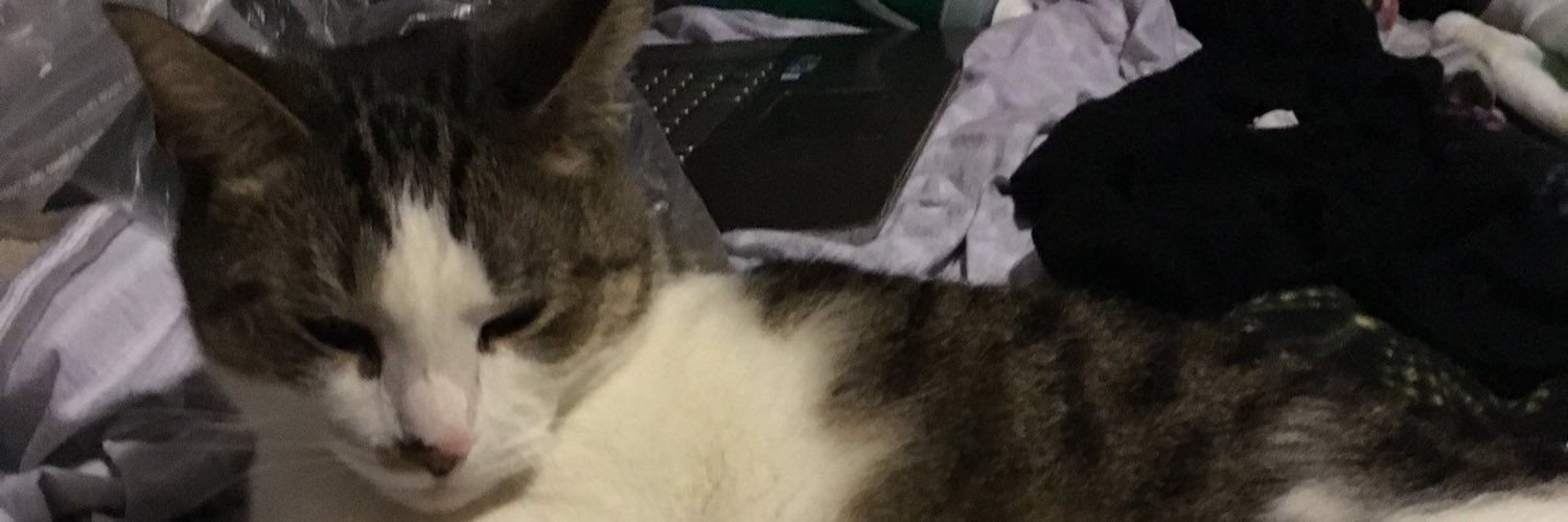 jessfountaina's profile banner image