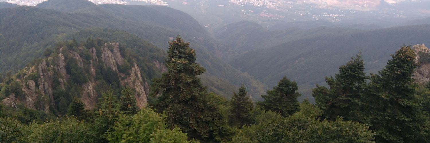 YASNZKAN's profile banner image