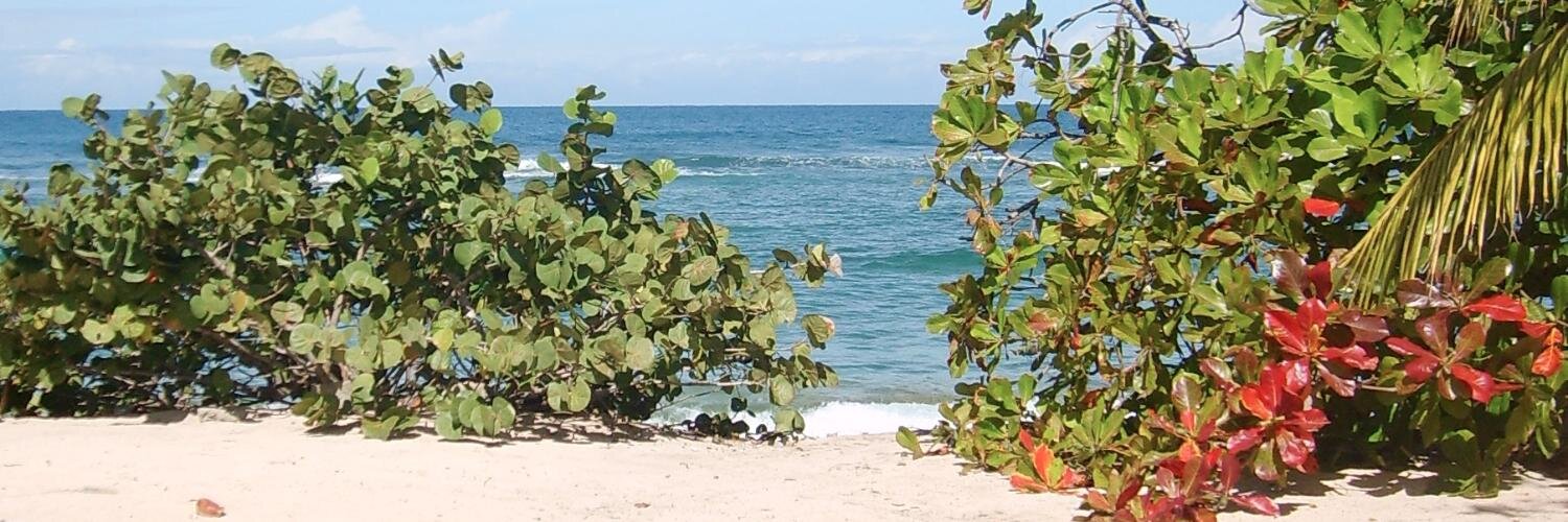 Catdoris's profile banner image