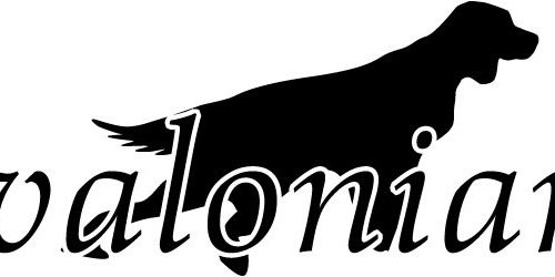 AvalonianS's profile banner image