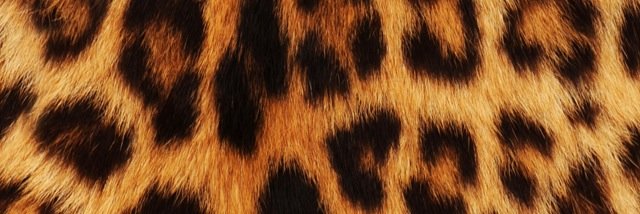 annet6491's profile banner image