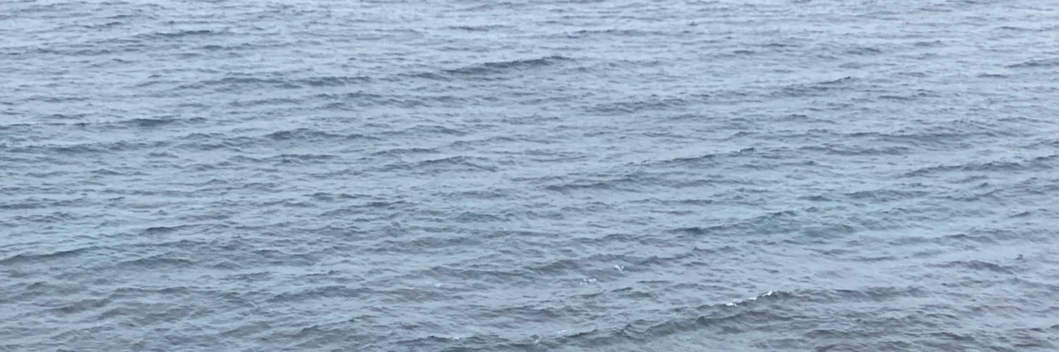 wpwpwp6's profile banner image