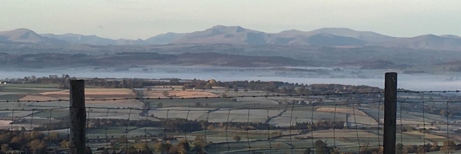 Tom Whitfield banner