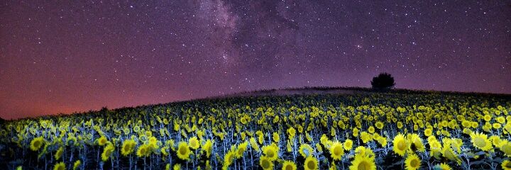 sonendfin's profile banner image