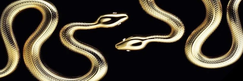 exoticstn's profile banner image