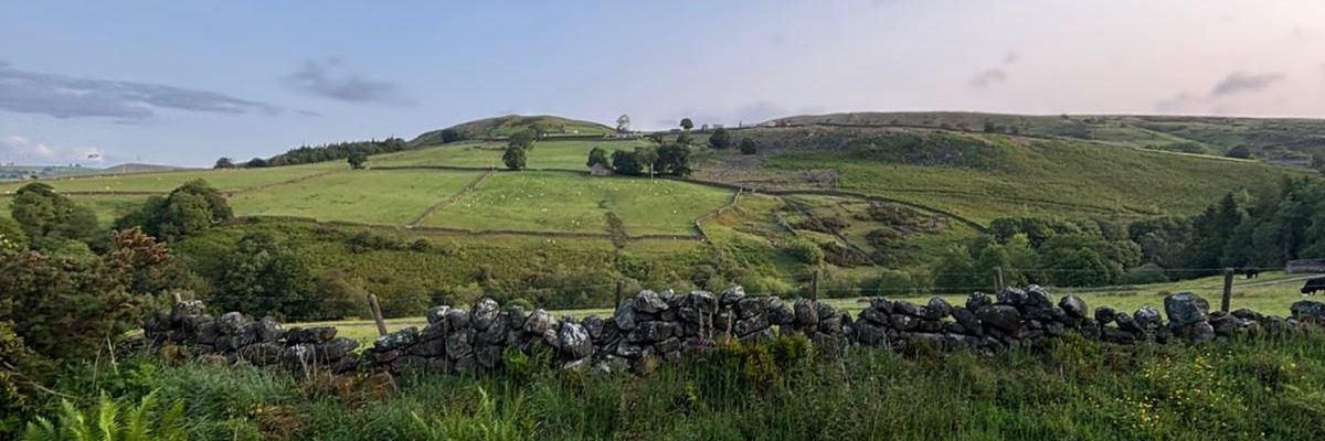 lebztop's profile banner image
