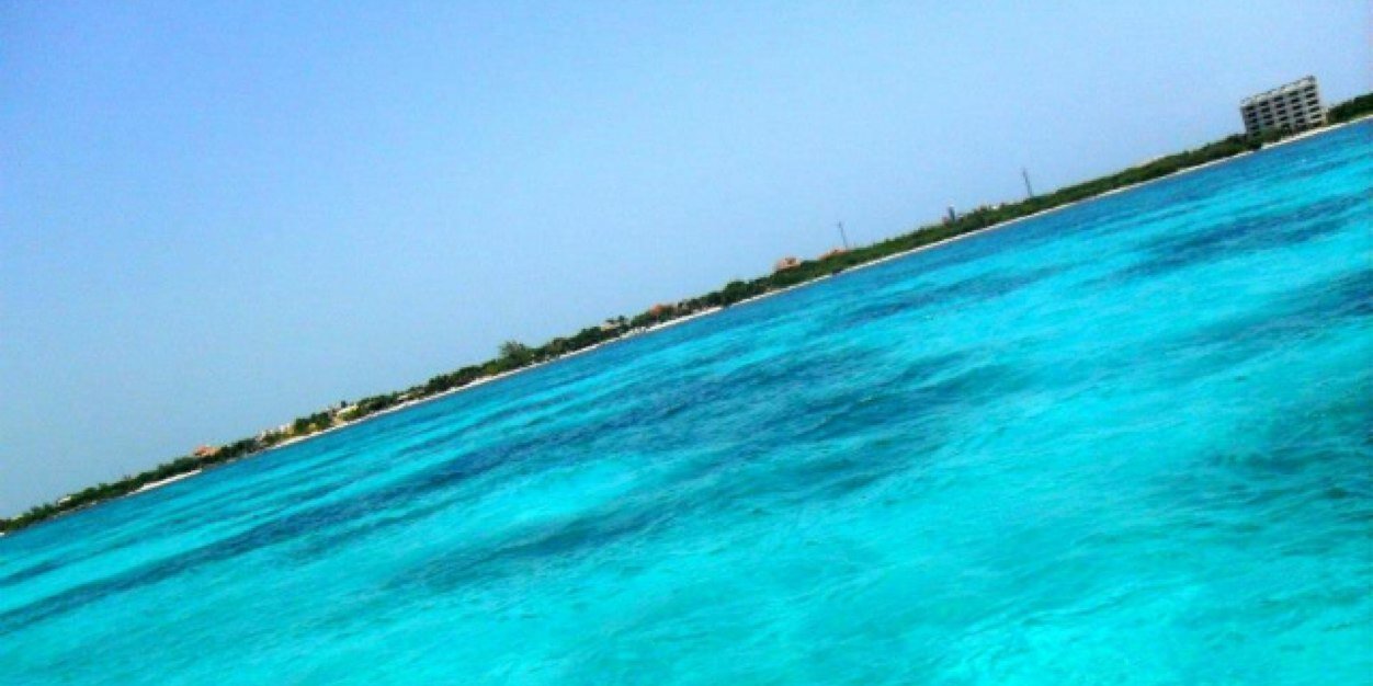 Valeria__M__'s profile banner image