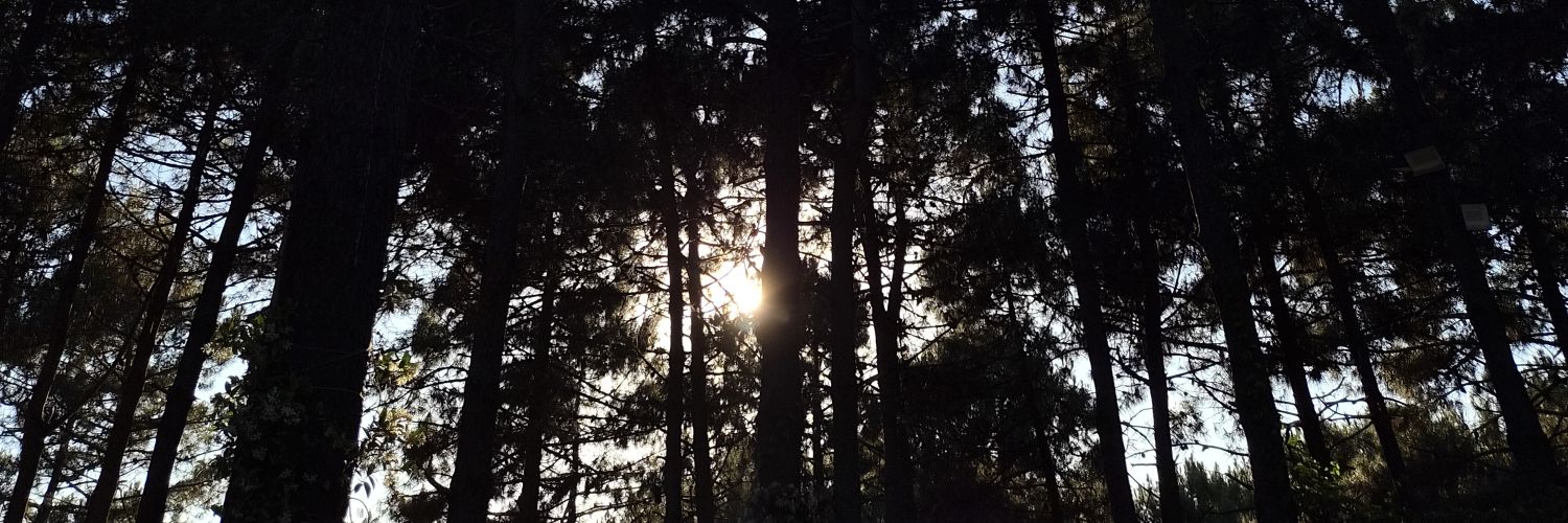 ekinezya4's profile banner image