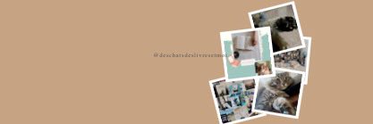 danie974's profile banner image