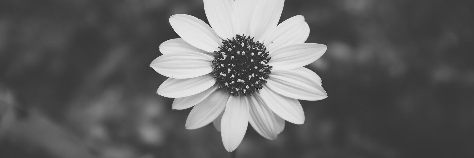 michaelmatur's profile banner image