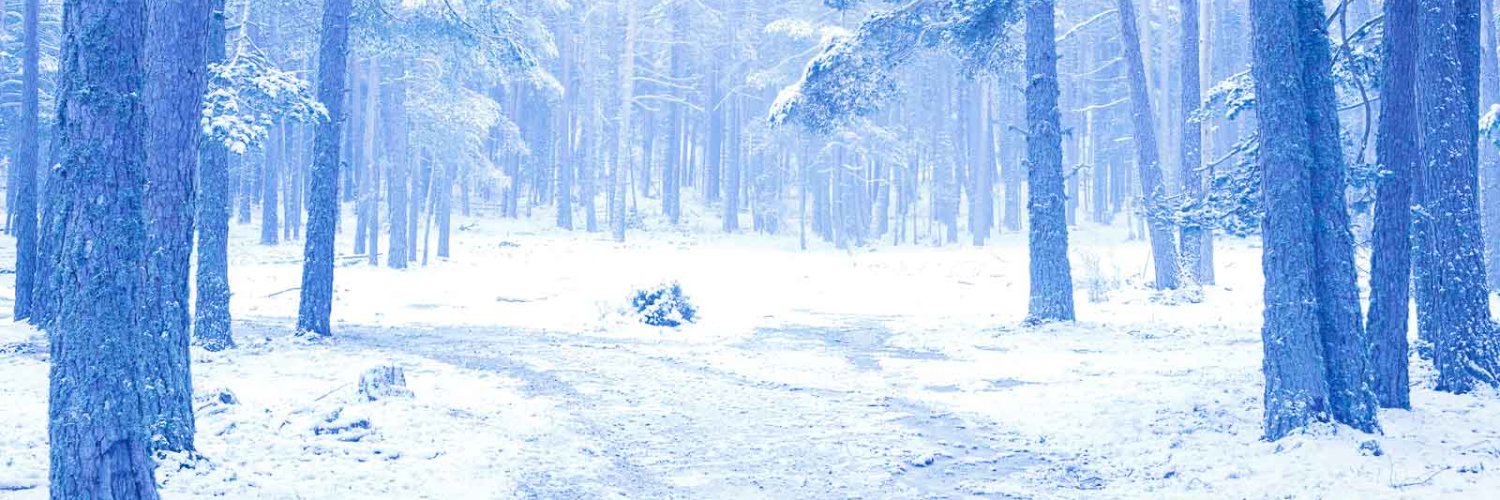 jfelixmateo's profile banner image